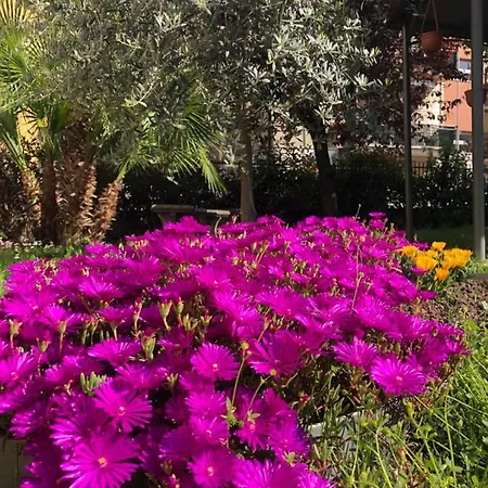 Гостьовий будинок Casa Elisa Dimora Urbana