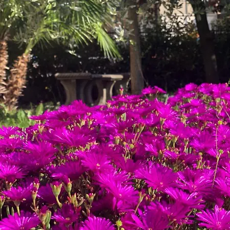 Гостьовий будинок Casa Elisa Dimora Urbana Модена