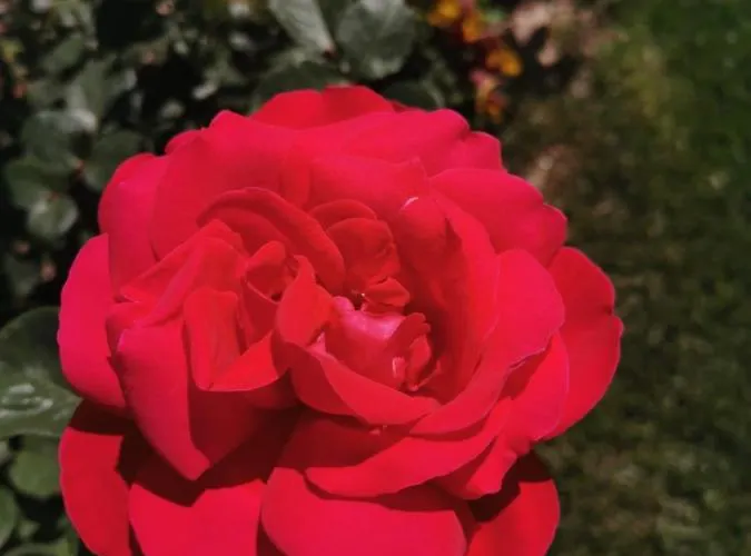 Casa Elisa Dimora Urbana 4*