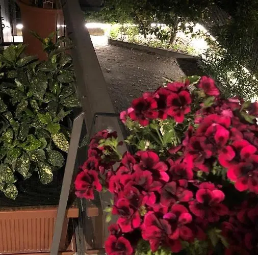 Casa Elisa Dimora Urbana Гостьовий будинок 4*