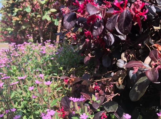 Casa Elisa Dimora Urbana 4* Модена