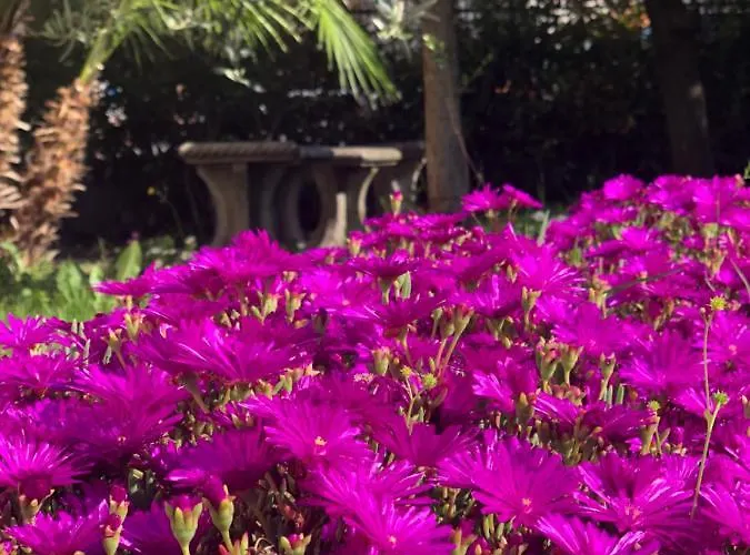 Pensjonat Casa Elisa Dimora Urbana Modena